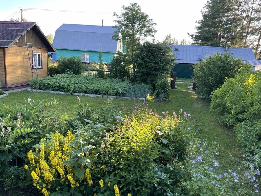 Общий вид с участка